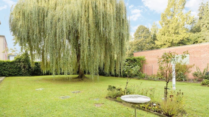 tuin2b.jpg