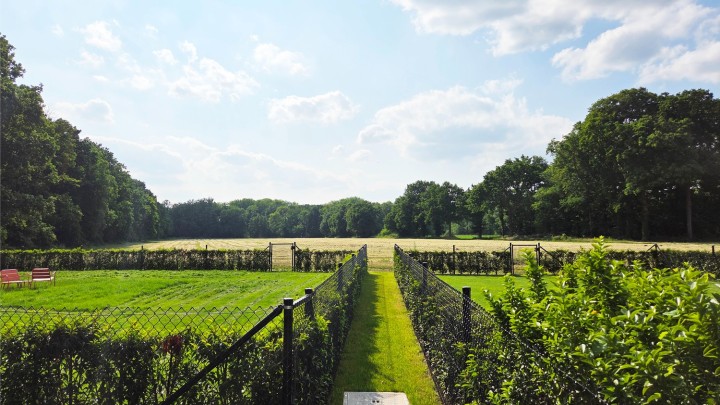 Tuin.jpg