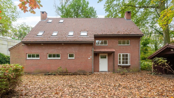 vb grote singel 88 schoten gevel-3.jpg