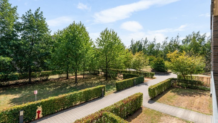 VB Wervehof 7B Wijnegem-13.jpg