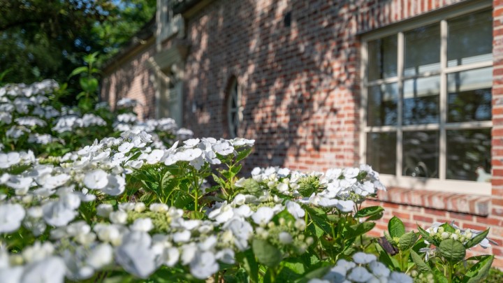 vb mosthoevendreef 2 schilde buiten-5.jpg