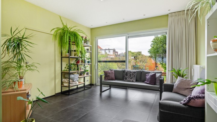 vb strobloemstraat 12 merksem-6.jpg