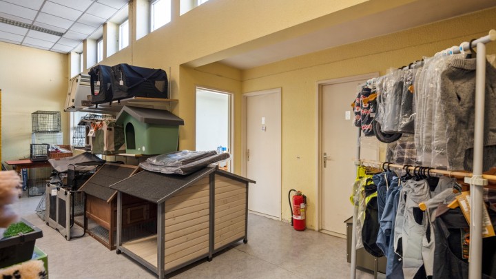 VB Van Amstelstraat 18 glvl Hoboken-14.jpg