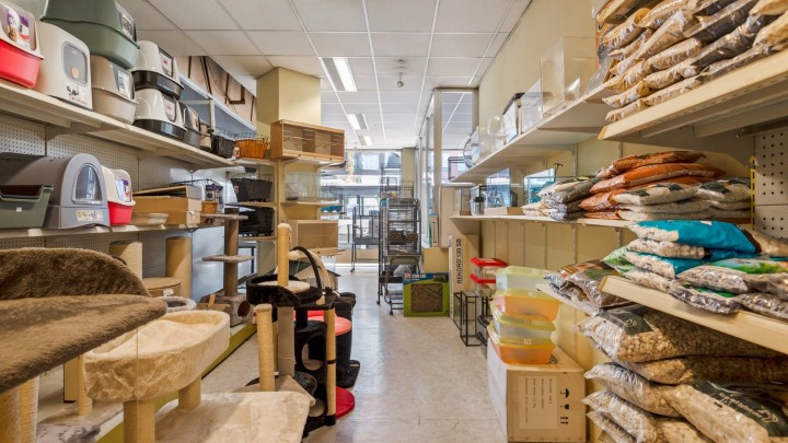 VB Van Amstelstraat 18 glvl Hoboken-18.jpg