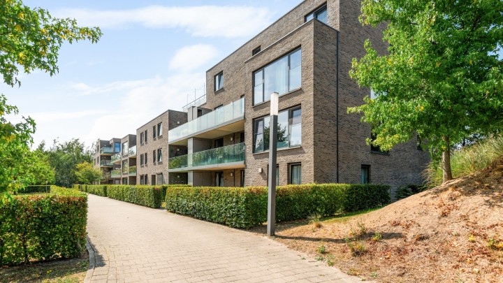 VB Wervehof 7B Wijnegem-19.jpg