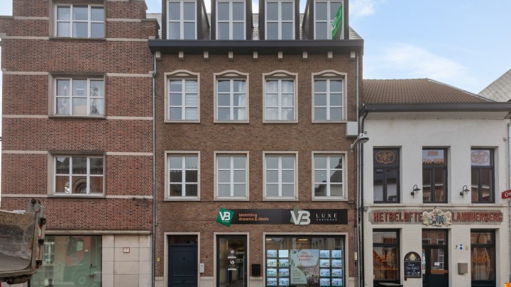 VB Begijnenstraat 1 bus 1 Lier-19.jpg