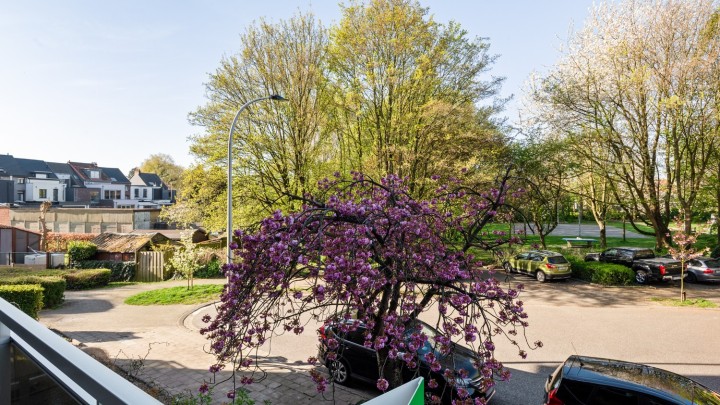 VB Florisprimslei 42 V1 Borsbeek-11.jpg