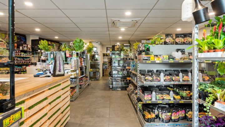 VB Mechelsesteenweg 256 Kontich-1.jpg