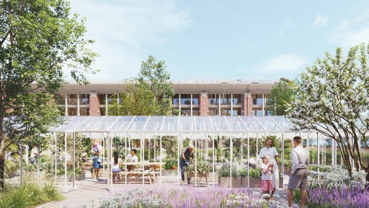 380.cam E1a serre var.jpg