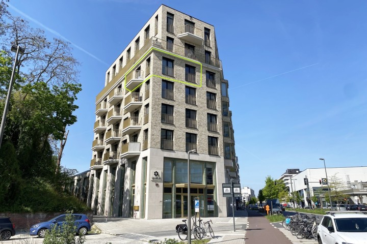 IMG_6898b_groene kader.jpg