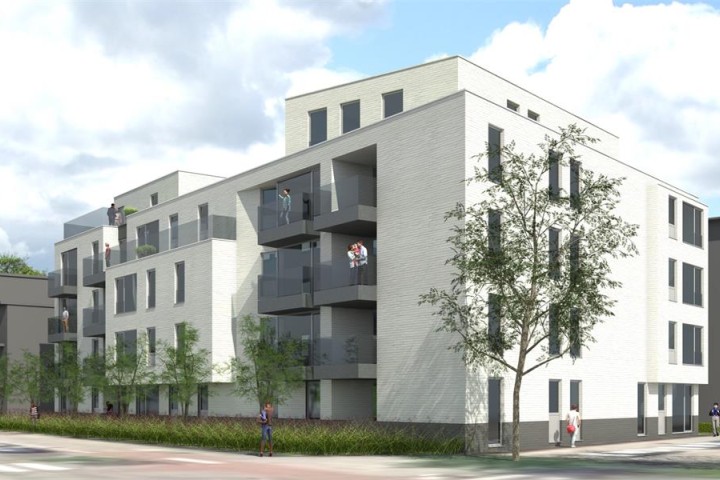 KAASBOERIN_01.jpg
