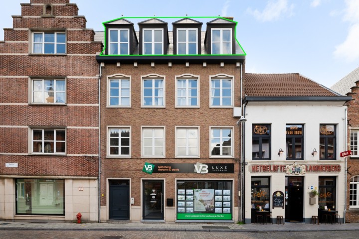VB Begijnhofstraat 1 V3 Lier-18.jpg